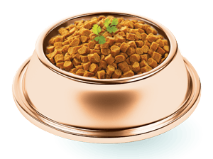 แถมฟรี!! เจอร์ไฮ สติ๊ก รสนม 60 g Jerhigh meat as meals holistic 500 g เจอร์ไฮ อาหารสุนัขเม็ดนุ่ม สำหรับทุกสายพันธุ์ สูตรไก่ย่างผสมตับ 500 กรัม