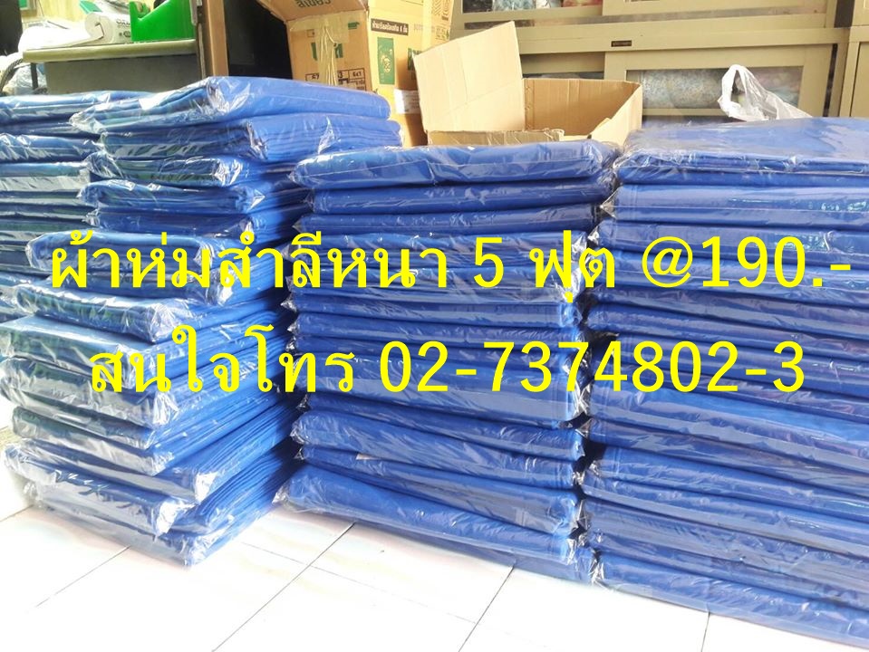 ผ้าห่มสำลีสีพื้น 5ฟุต ผ้าห่มขาย ราคาส่ง จำหน่ายผ้าห่ม ผ้าสำลีราคาส่ง ขายราคาถูก