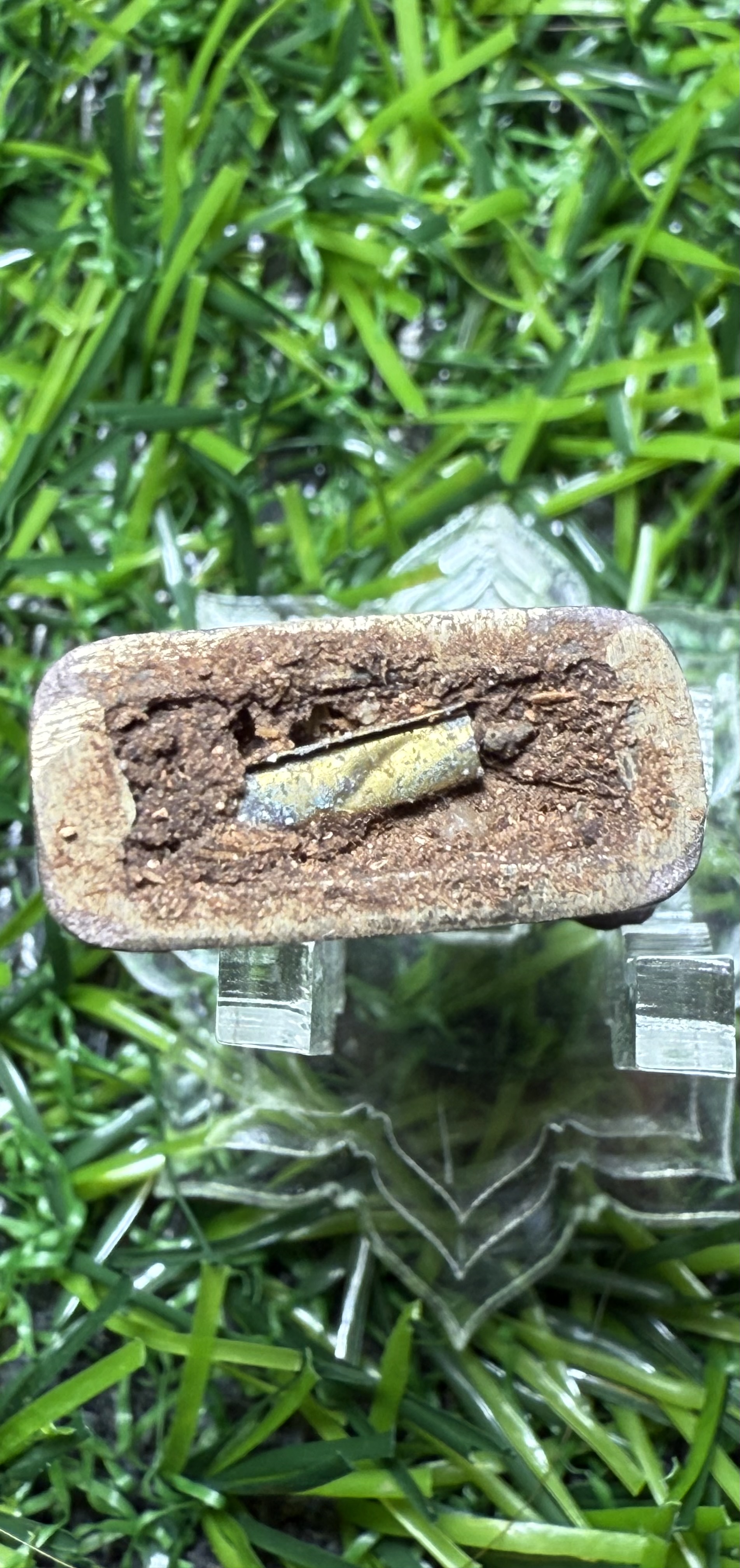 เจ้าทองคำ ” เครื่องรางสุนัข เฝ้าทรัพย์ เตือนภัย ปี 2561 หลวงพ่อรักษ์ วัดสุทธาวาส วิปัสนา จ.อยุธยา