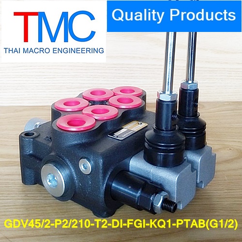 คอนโทรน2แกน4หุนมีcarry over(45-55L)(4,500Psi/310Bar)Quality Products GDV45/2-P2/210-T2-DI-FGI-KQ1-PTAB(G1/2)