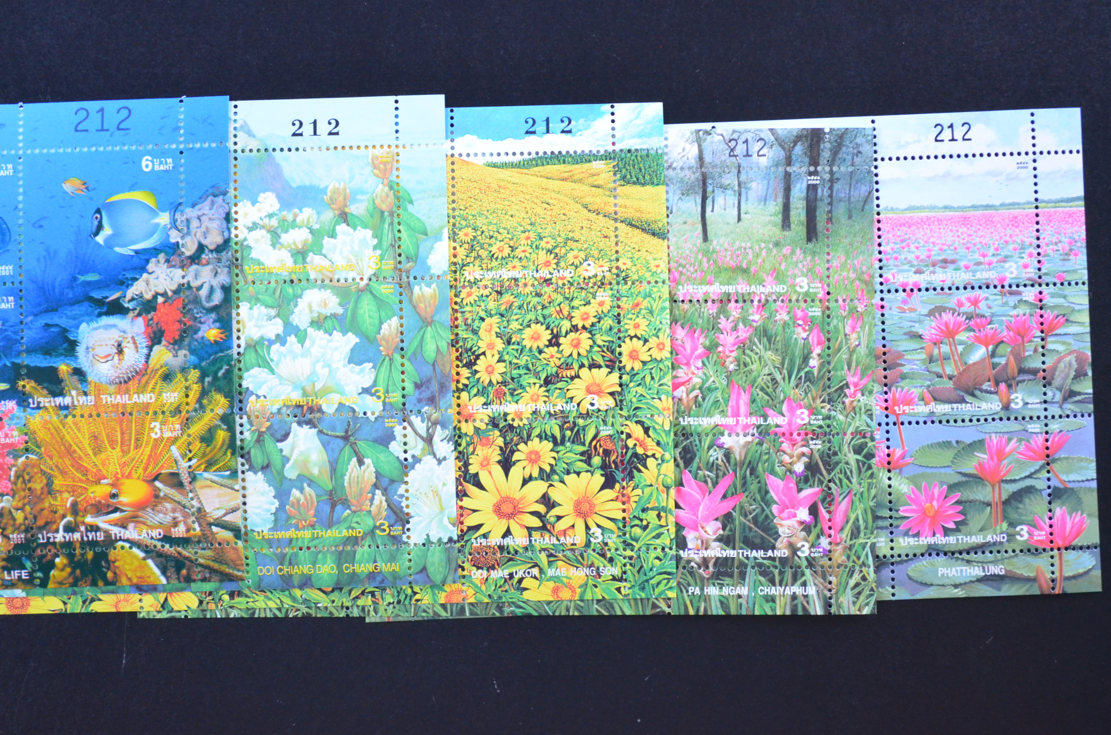 จิ๊กซอร์ 5 แบบ ครบชุดจิ๊กซอร์ (เลขตรงกัน)