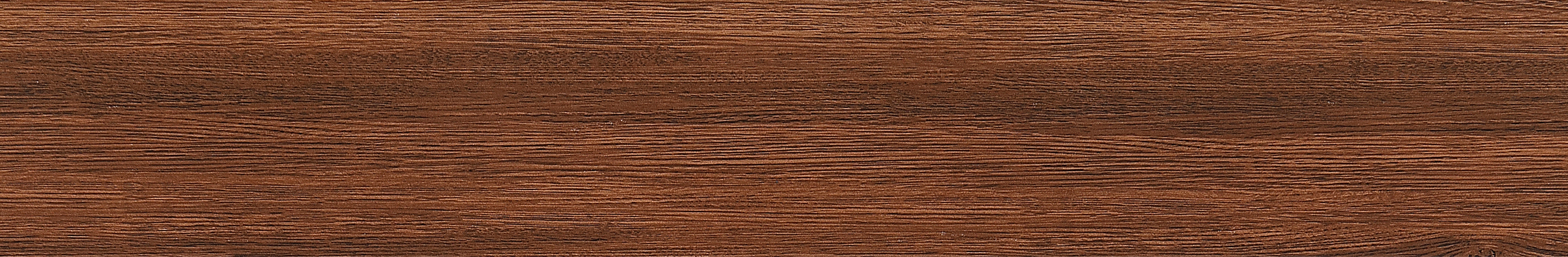 TT95606-10 Forest Wood Brown 15x90 (10ผ/ก)