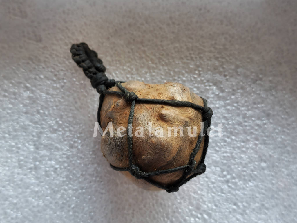 คตตะเคียน ( ตาไม้ตะเคียน )