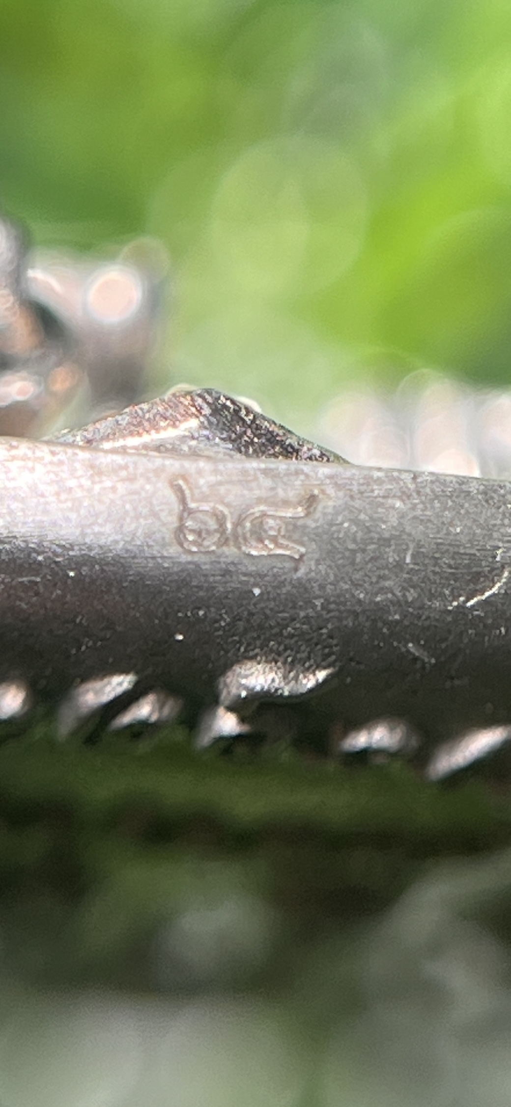 พระพิฆเนศ ที่ระลึกอายุวัฒนมงคล ๘๐ ปี รุ่น สมปรารถนา หลวงปู่จื่อ วัดเขาตาเงาะอุทุมพร จ. ชัยภูมิ ปี 2567