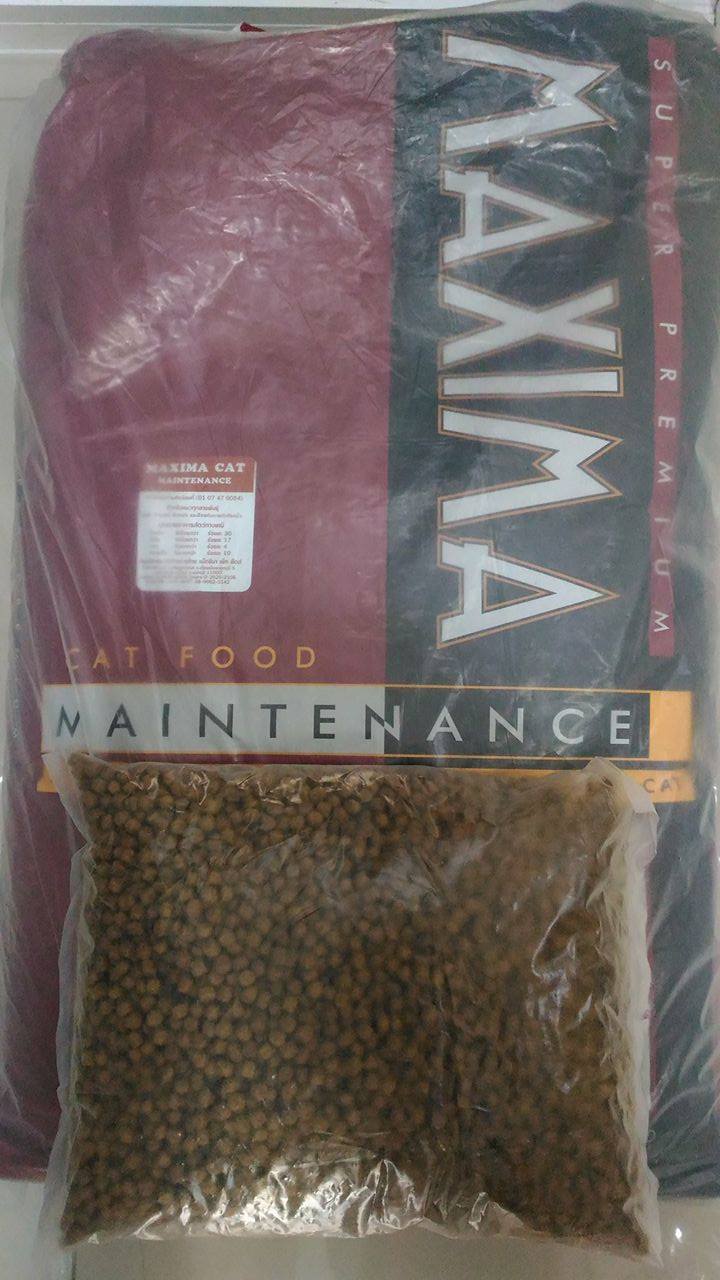 Maxima Cat Maintenance 1 kg อาหารเม็ดสำหรับแมวทุกสายพันธุ์ สูตรบำรุงขน ผิวหนัง และป้องกันการเกิดโรคนิ่ว ขนาด 1 กก.(ถุงย่อยจากโรงงานผู้ผลิต)