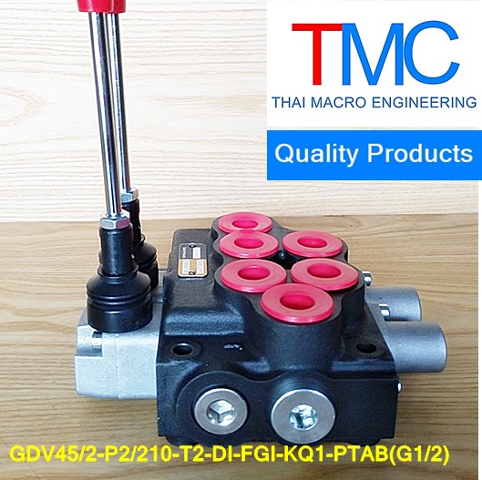 คอนโทรน2แกน4หุนมีcarry over(45-55L)(4,500Psi/310Bar)Quality Products GDV45/2-P2/210-T2-DI-FGI-KQ1-PTAB(G1/2)