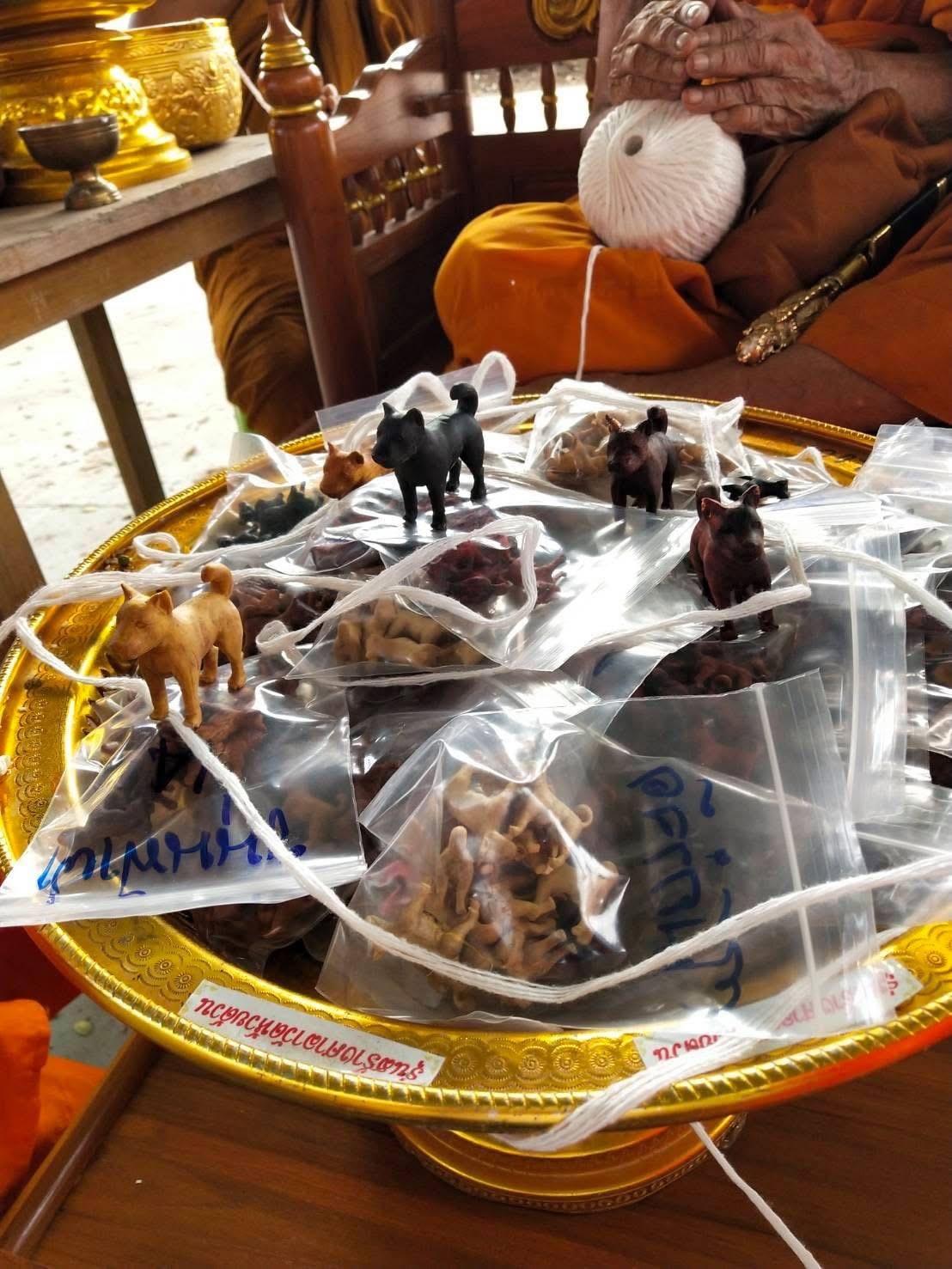 ไอ้ช้าง หมาคู่บารมี รุ่นแรก หลวงพ่อพัฒน์ วัดห้วยด้วน เนื้อ ไม้กำจัด ประสบการณ์โดนยิงล้มทั้งยืนไม่เป็นอะไรเลย