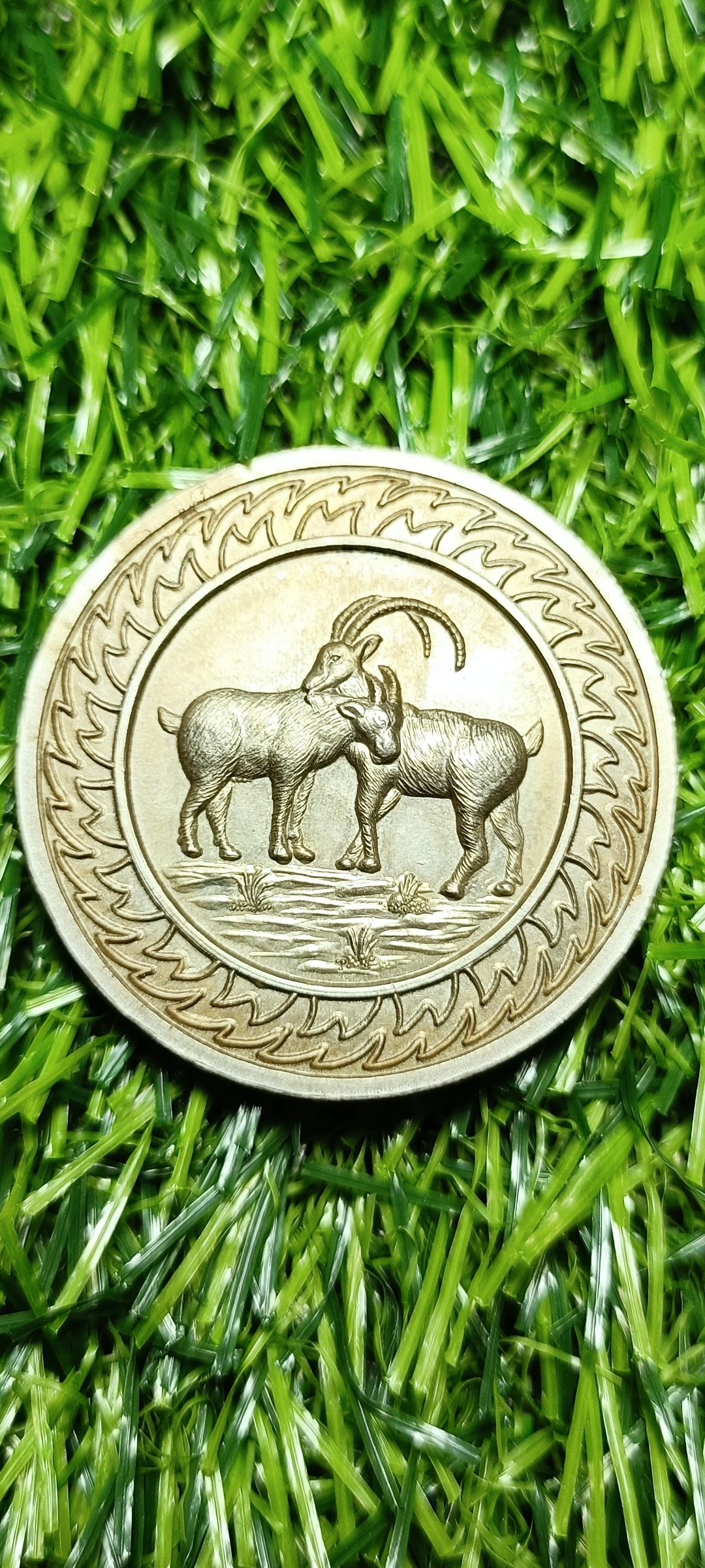 แก้ปีชง เหรียญ นักษัตร นามปี ปีมะแม ปีแพะ หลัง พลังจักรวาล รุ่นสองแผ่นดิน วัดพระบรมธาตุ วัดนางพระยา ขนาด 3.3 ซ.ม.