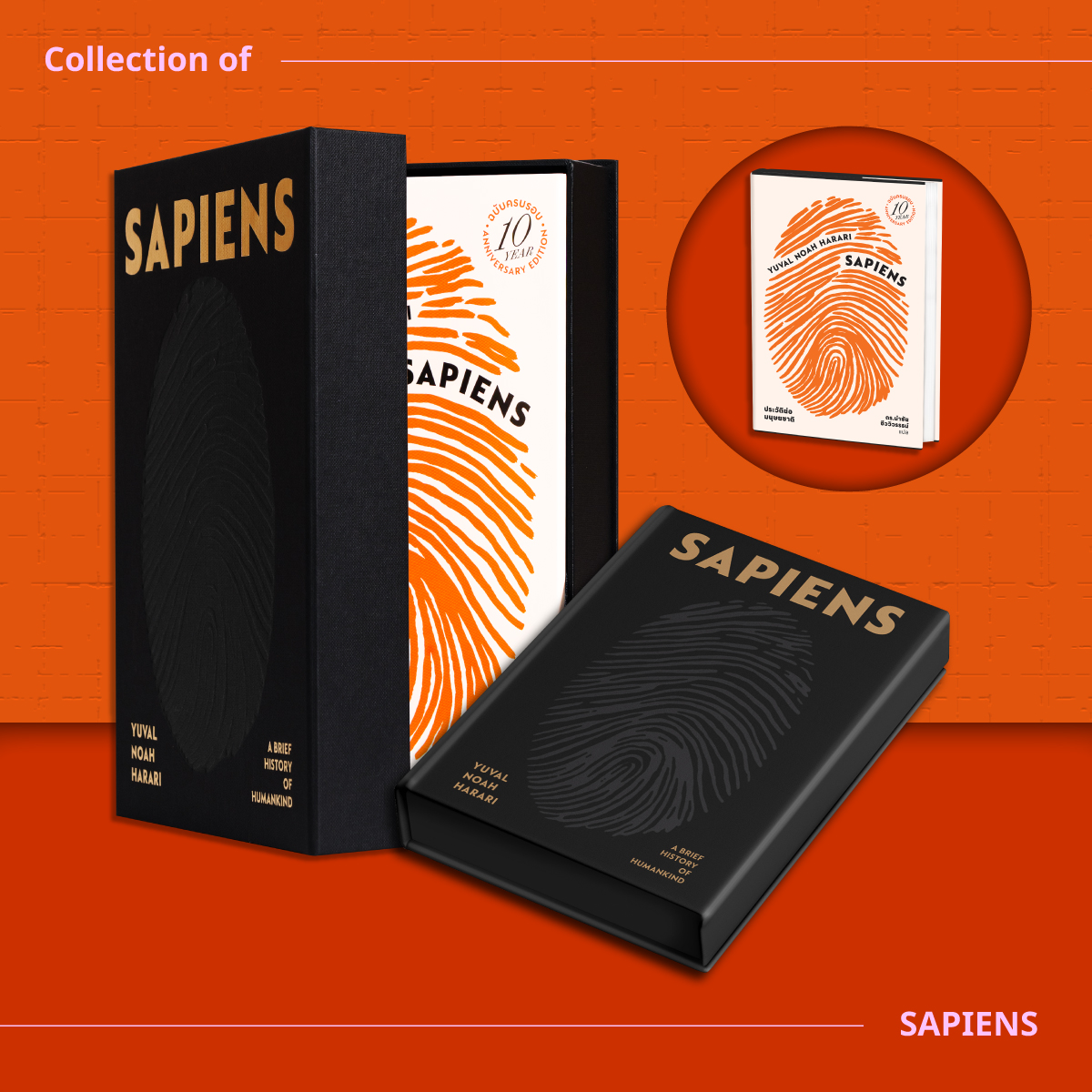 ชุด BOX SET & NEXUS (BOX+เซเปียนส์ ปกแข็ง+NEXUS)