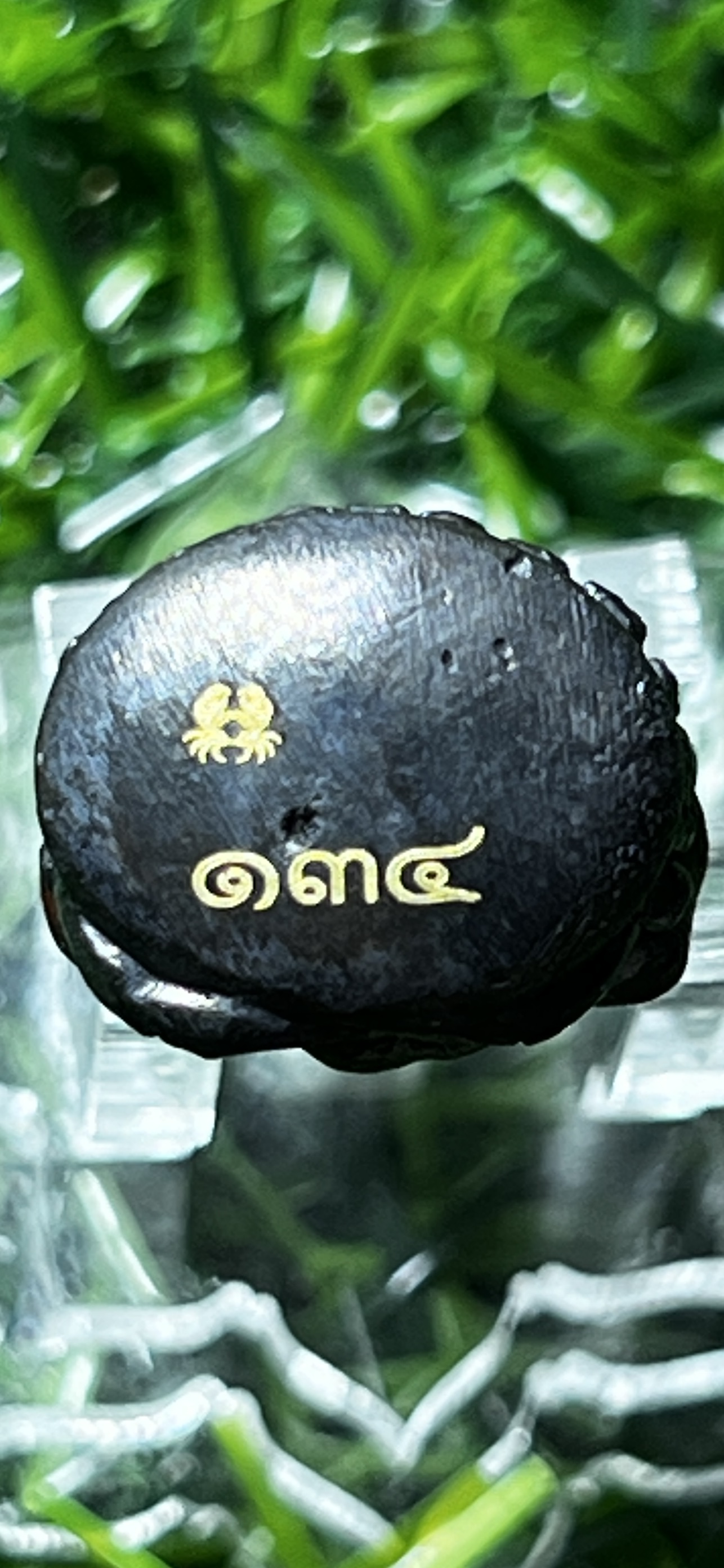 เบ้าทุบนั่งปู รุ่นแรก หลวงปู่นิ่ม โชติธัมโม วัดพุทธมงคล สุพรรณบุรี