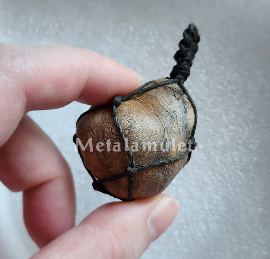 คตตะเคียน ( ตาไม้ตะเคียน )