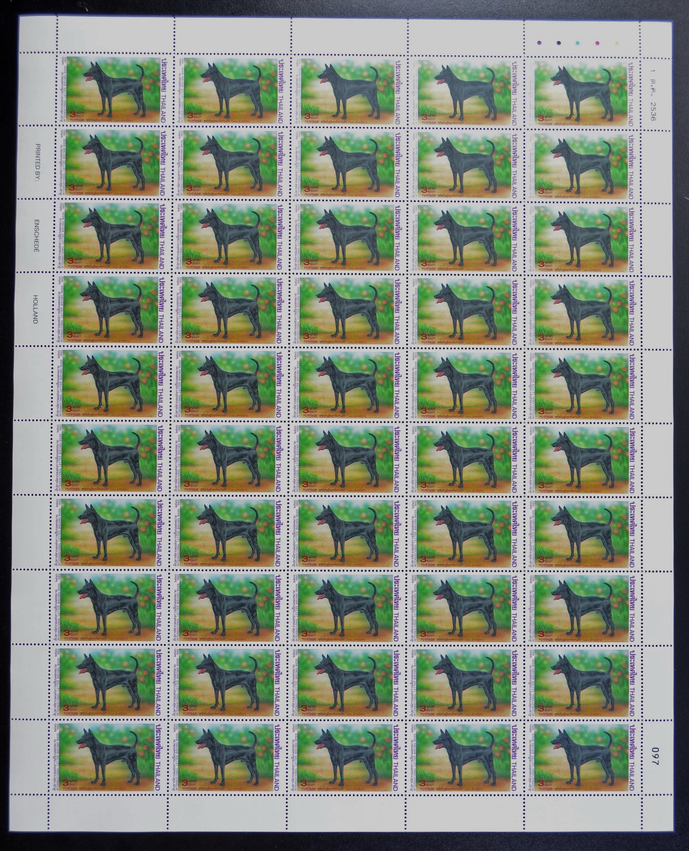 แสตมป์สัปดาห์สากลแห่งการเขียนจดหมาย 2536 (เต็มแผ่น50ดวง)