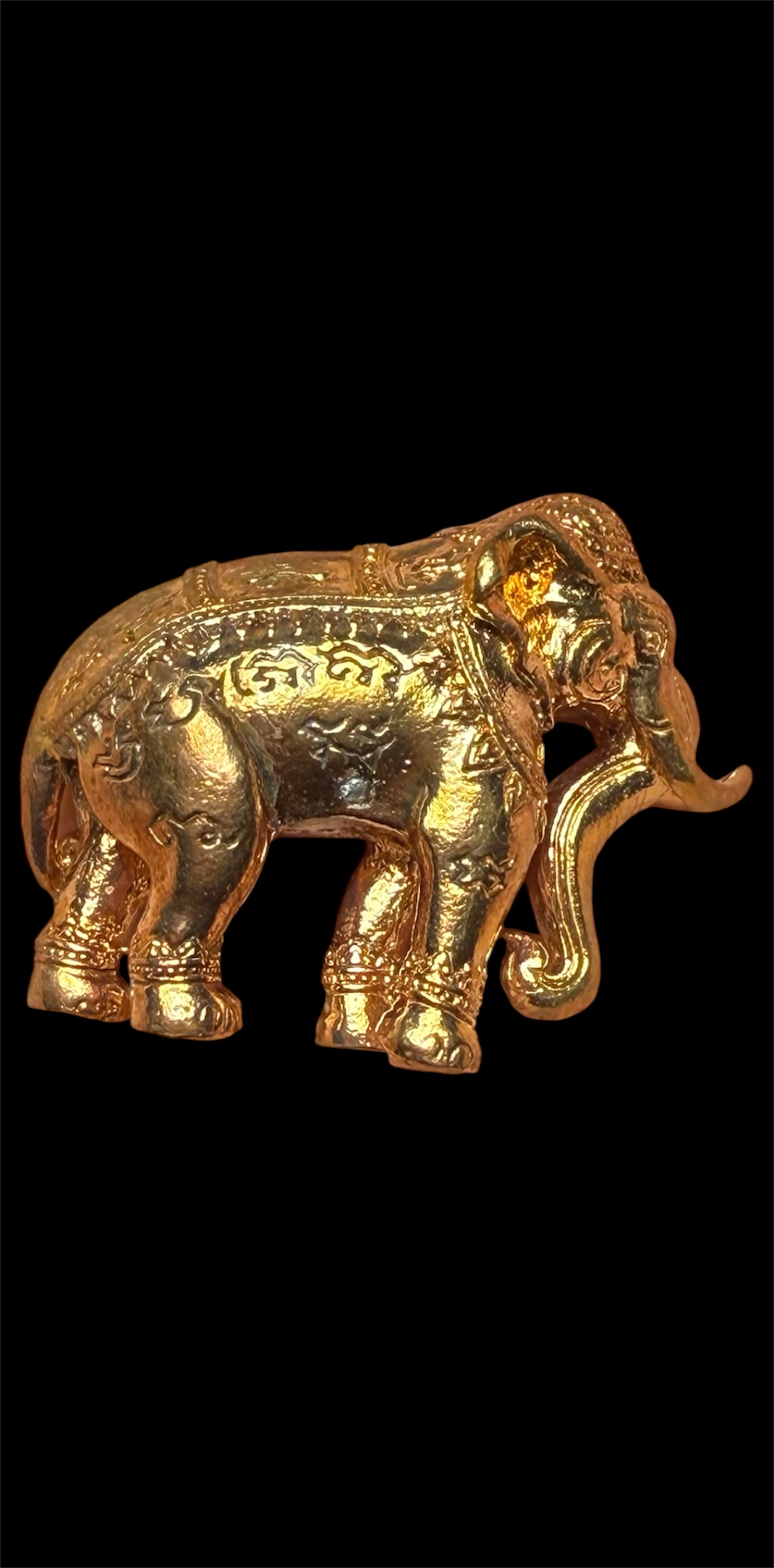 พญาช้างปัจจัยนาค รุ่น คชสารบันดาลทรัพย์ ปี58 หลวงพ่อรักษ์ วัดสุทธาวาส วิปัสนา จ.อยุธยา