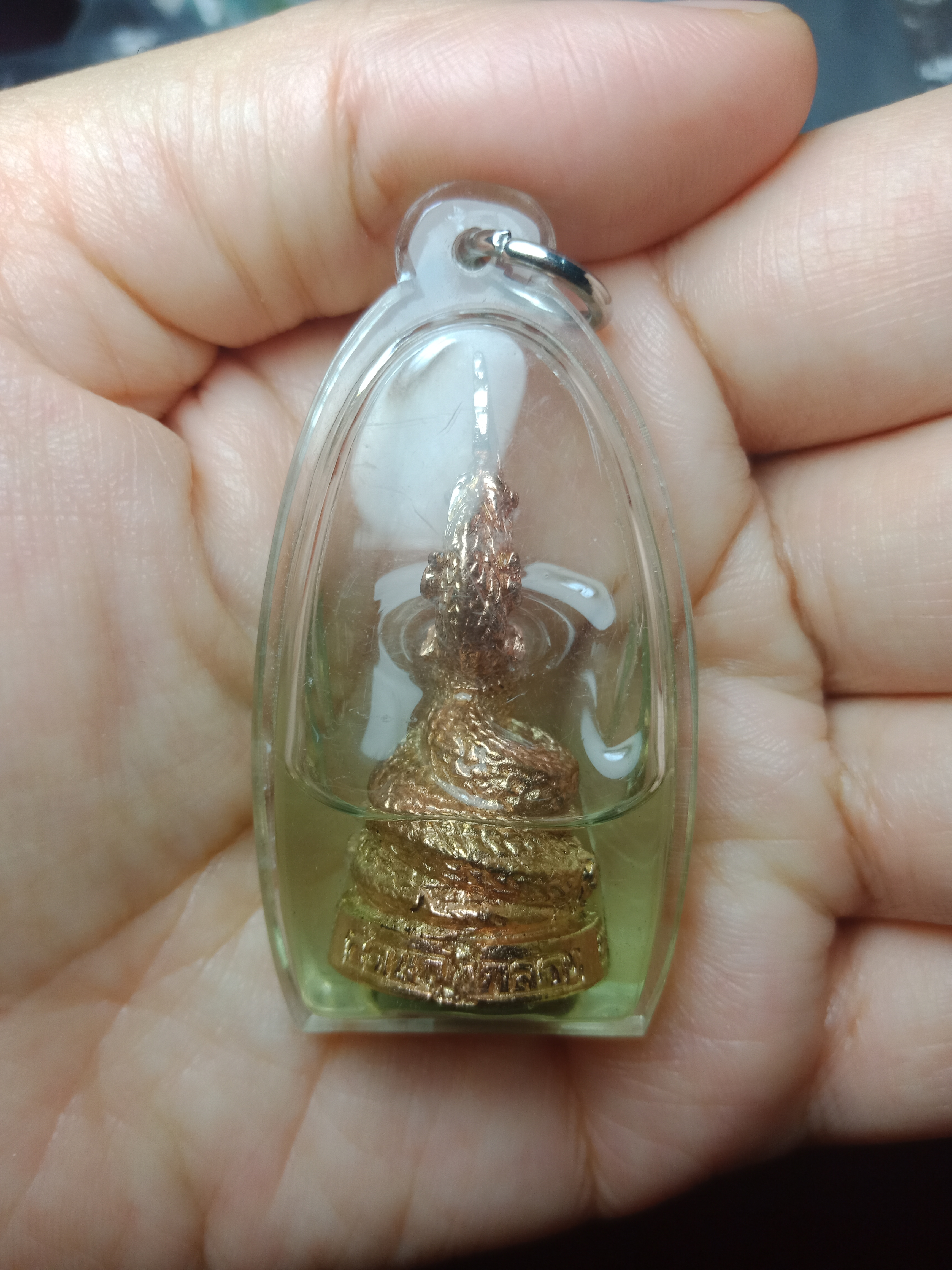 พญานาคราชประทานทรัพย์ รุ่น"รวยทรัพย์" วัดนาคกลางวรวิหาร ปี55