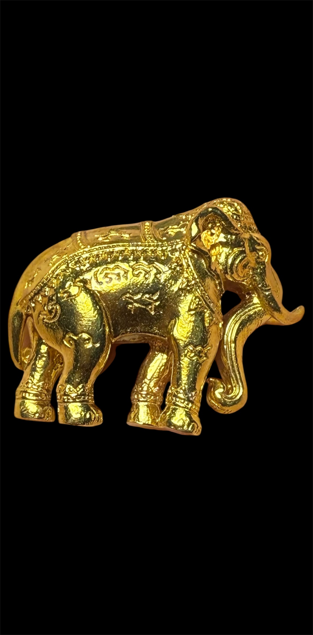 พญาช้างปัจจัยนาค รุ่น คชสารบันดาลทรัพย์ ปี58 หลวงพ่อรักษ์ วัดสุทธาวาส วิปัสนา จ.อยุธยา