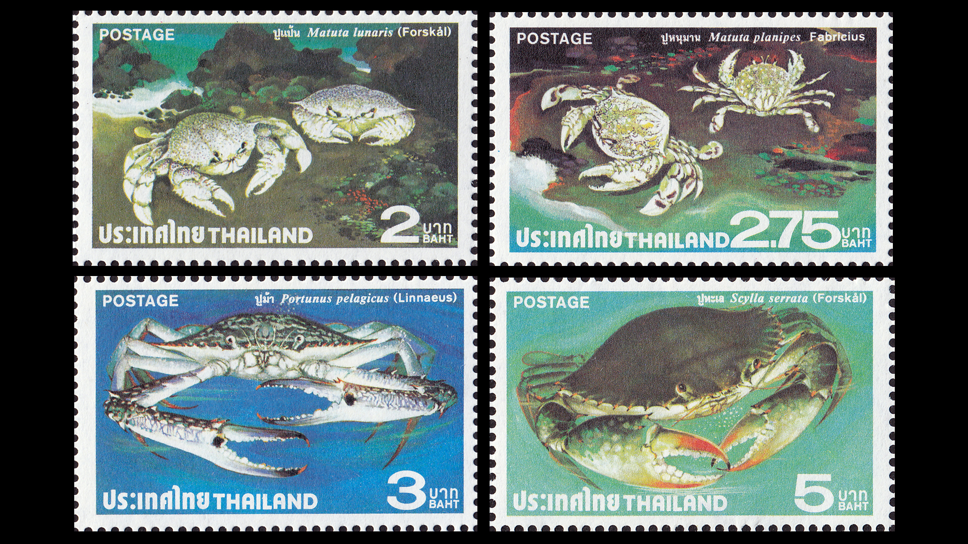 แสตมป์ปูไทย ชุด1 สภาพนอก MNH