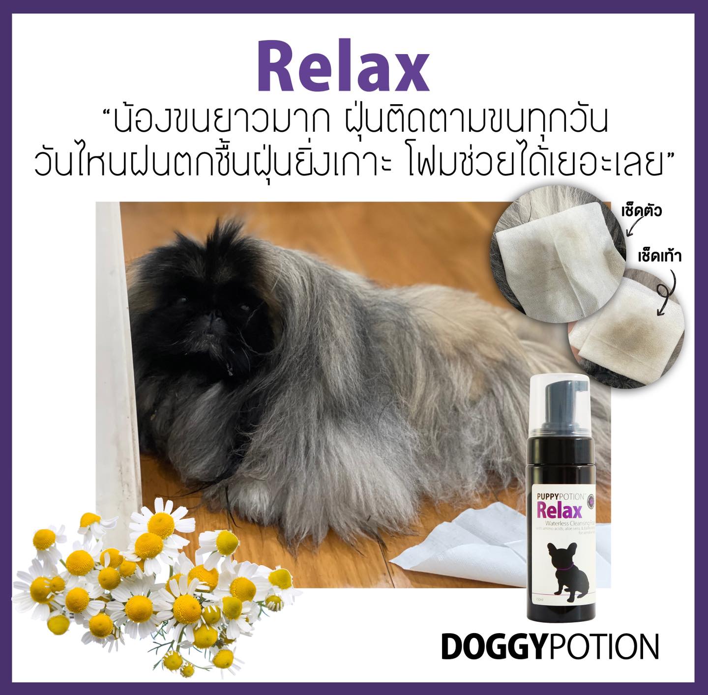 Puppy Potion - Relax โฟมล้างหน้าและอาบแห้งสูตรรีแล็กซ์ สำหรับน้องหมาผิวแพ้ง่าย ขนาด 150 ML