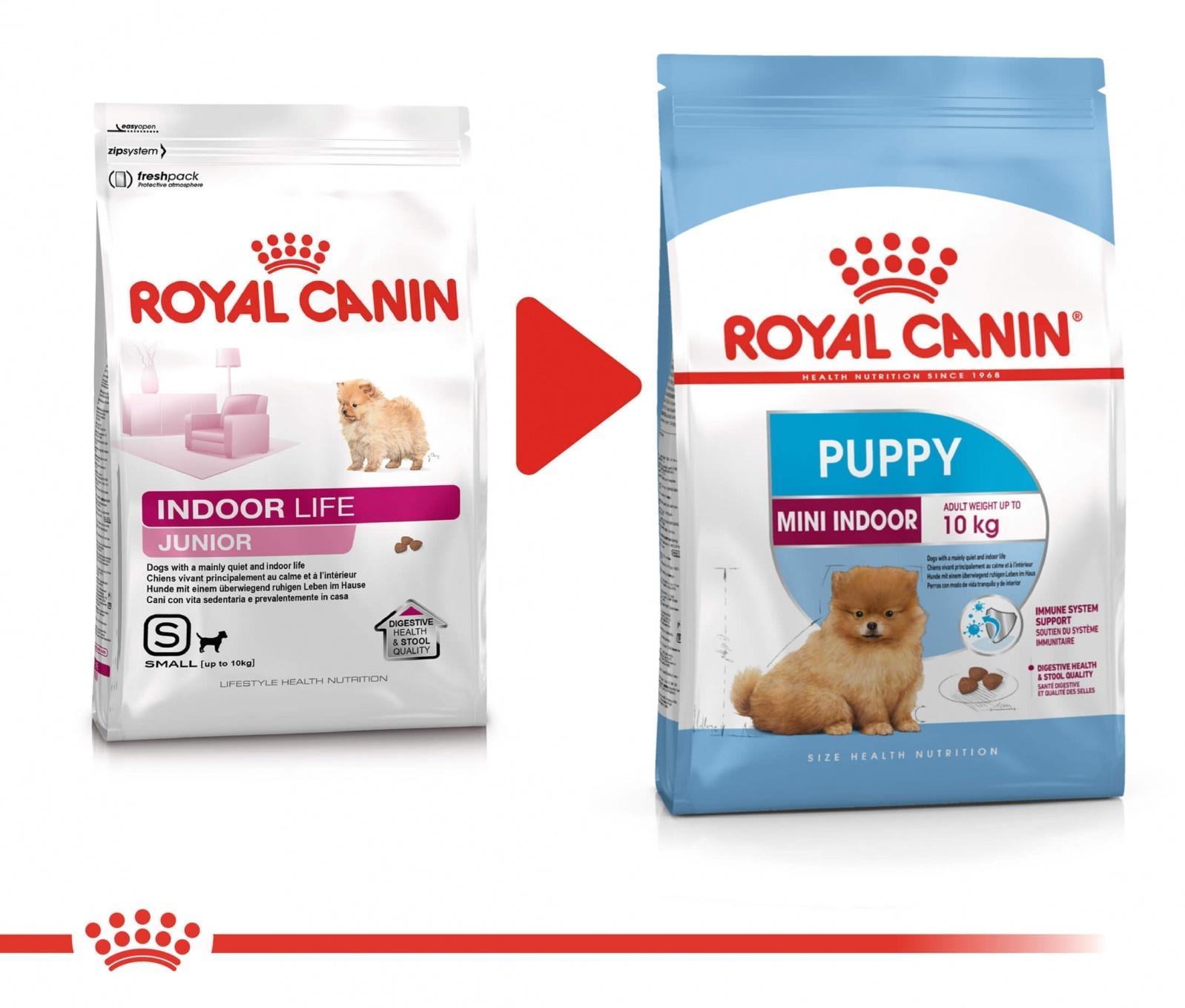 Royal canin Mini Indoor Puppy 500 g รอยัล คานิน อาหารเม็ดสำหรับลูกสุนัขเลี้ยงในบ้านพันธุ์เล็ก อายุ 2-10 เดือน ขนาด 500 กรัม