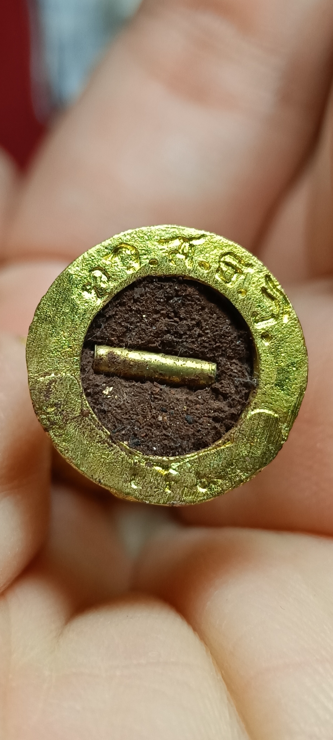 พระพิฆเนศวร์ปางนาคปรก หลวงพ่อรักษ์ อนาลโย วัดสุทธาวาส วิปัสสนา