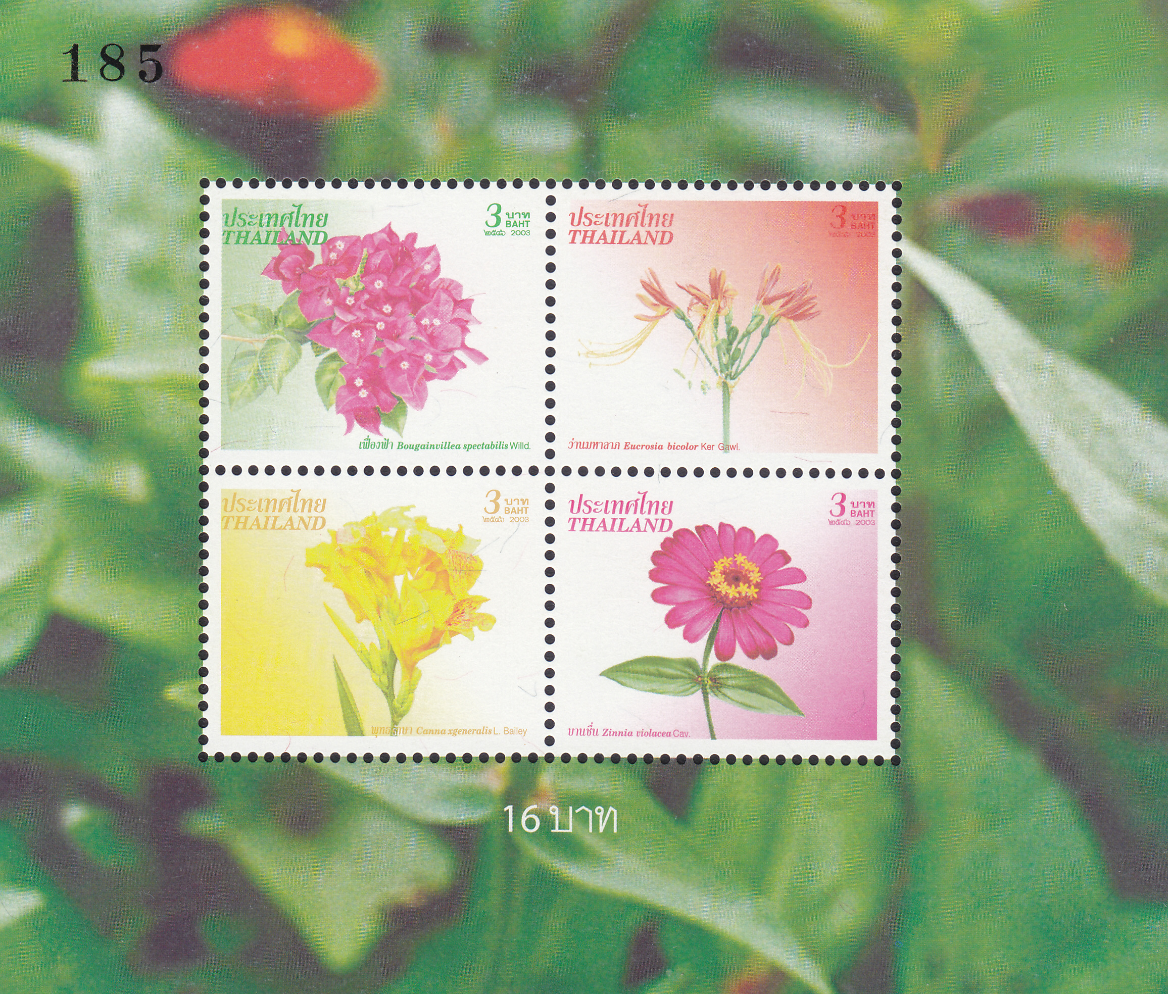 ชีทปีใหม่ 2547 (ชุด16)