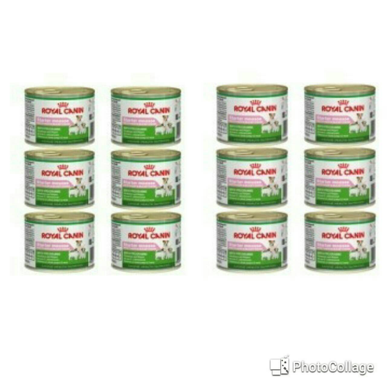 Royal canin Starter mousse 195 g. อาหารชนิดเปียกสำหรับแม่สุนัขตั้งท้องและให้นมลูกและลูกสุนัขหลังหย่านมถึงอายุ 2 เดือน 195 กรัม จำนวน 12 กระป๋อง