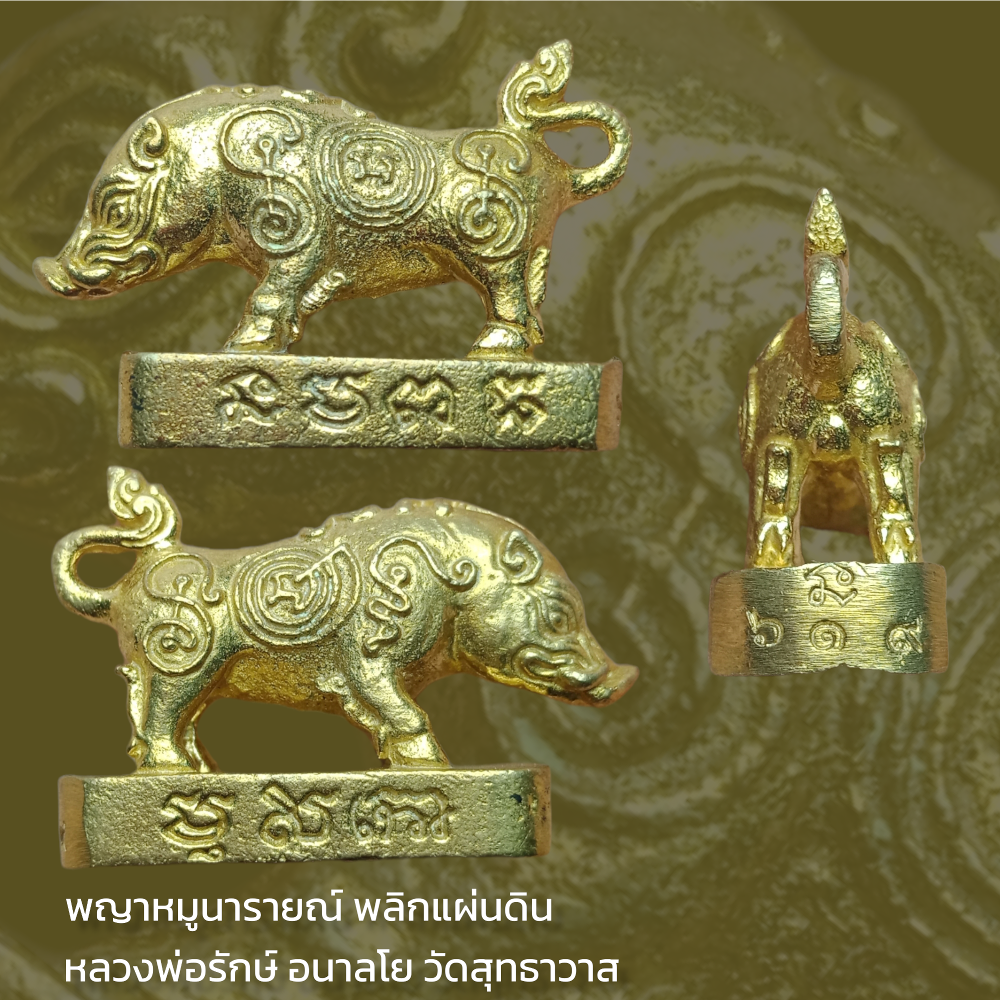 พญาหมูนารายณ์ พลิกแผ่นดิน หลวงพ่อเจ้าคุณรักษ์ อนาลโย วัดสุทธาวาส เมตตาอธิฐานจิตกรณีพิเศษ