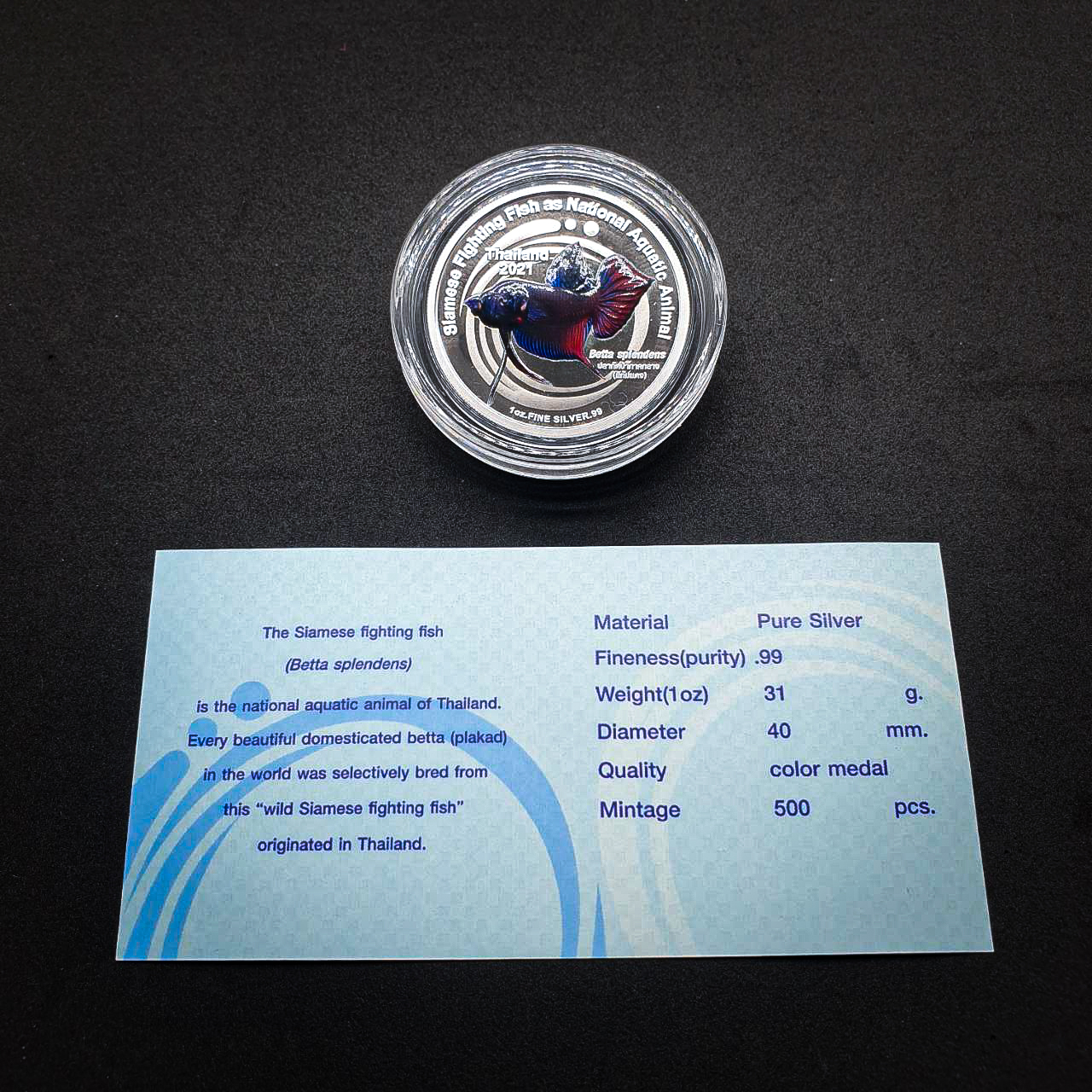 เหรียญปลากัดไทย 2 (เงินขัดเงาลงสี) โดยชมรมคนรักษ์เหรียญ (ตัวที่ 2)