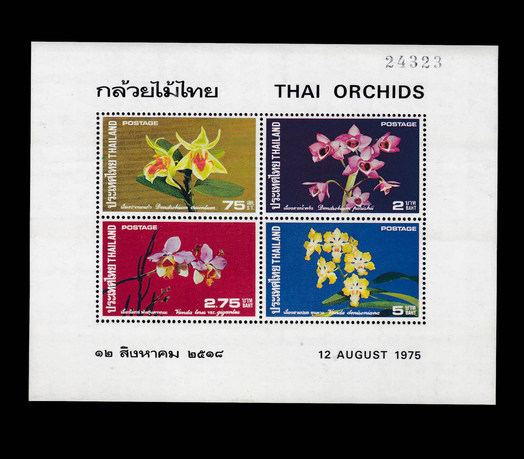 ชีทกล้วยไม้ (ชุด 3) แบบไม่ปรุข้าง