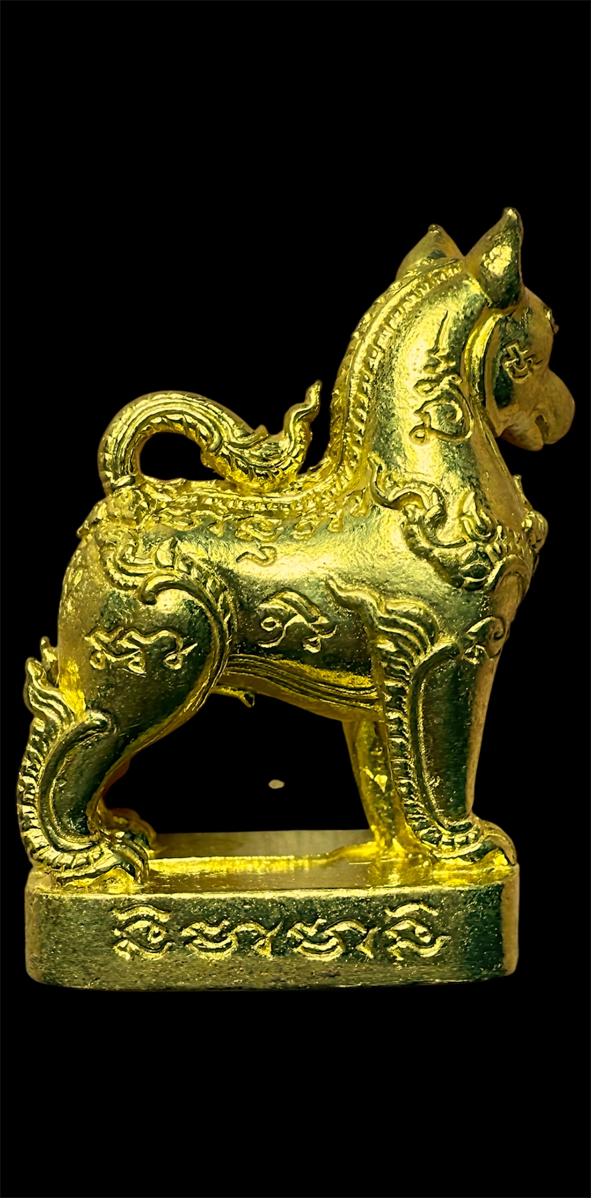 เจ้าทองคำ ” เครื่องรางสุนัข เฝ้าทรัพย์ เตือนภัย ปี 2561 หลวงพ่อรักษ์ วัดสุทธาวาส วิปัสนา จ.อยุธยา