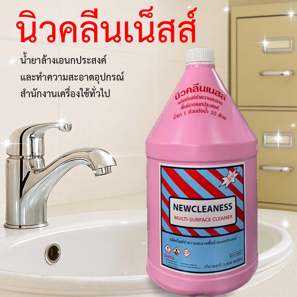 นิวคลีนเน็สส์