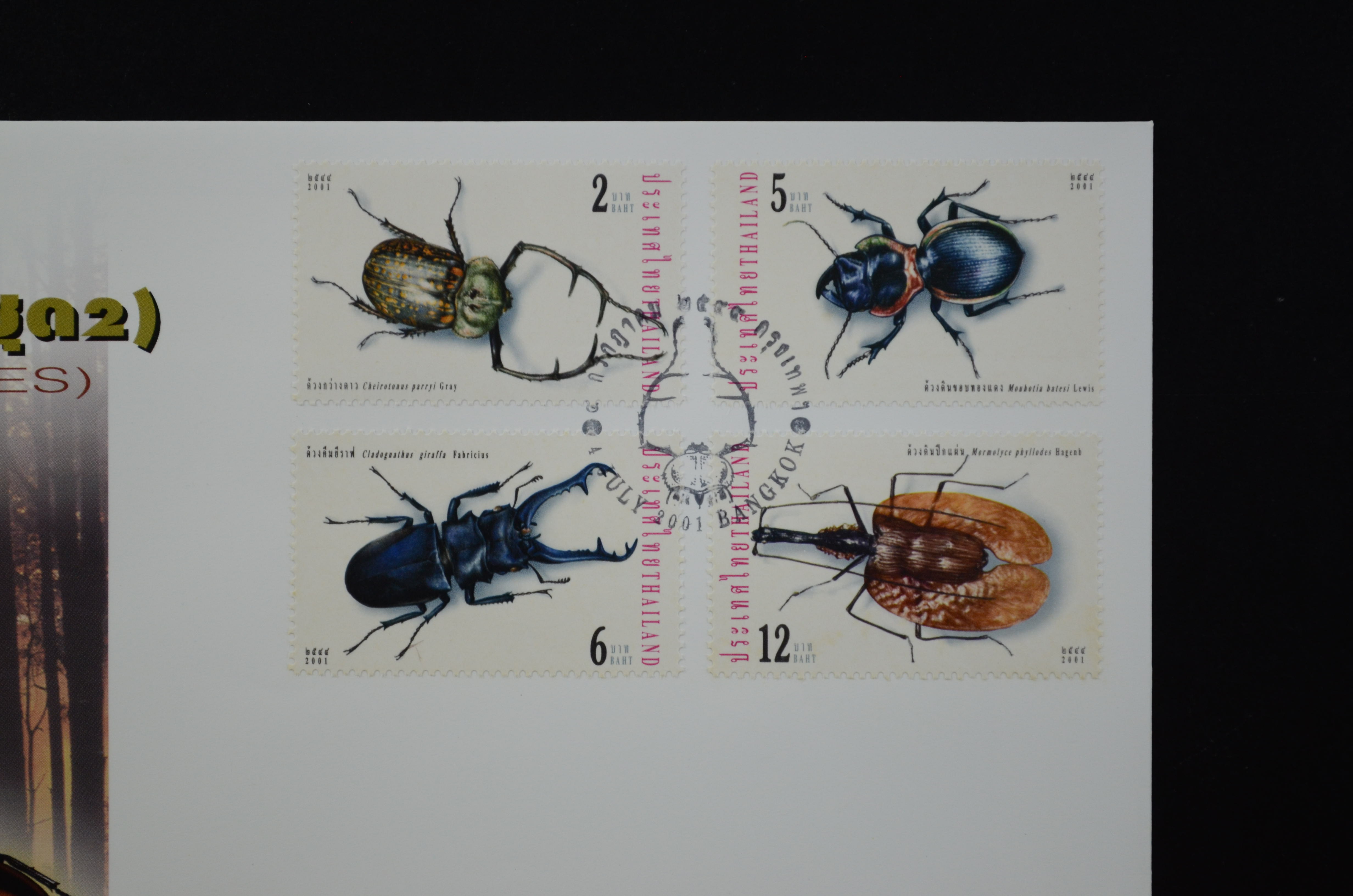 ซองแมลง (ชุด2)