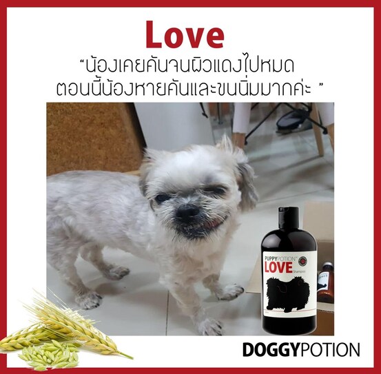 Puppy Potion Love Shampoo 500 ml แชมพูสารสกัดธรรมชาติ 100% กลิ่น Love 500 มล.