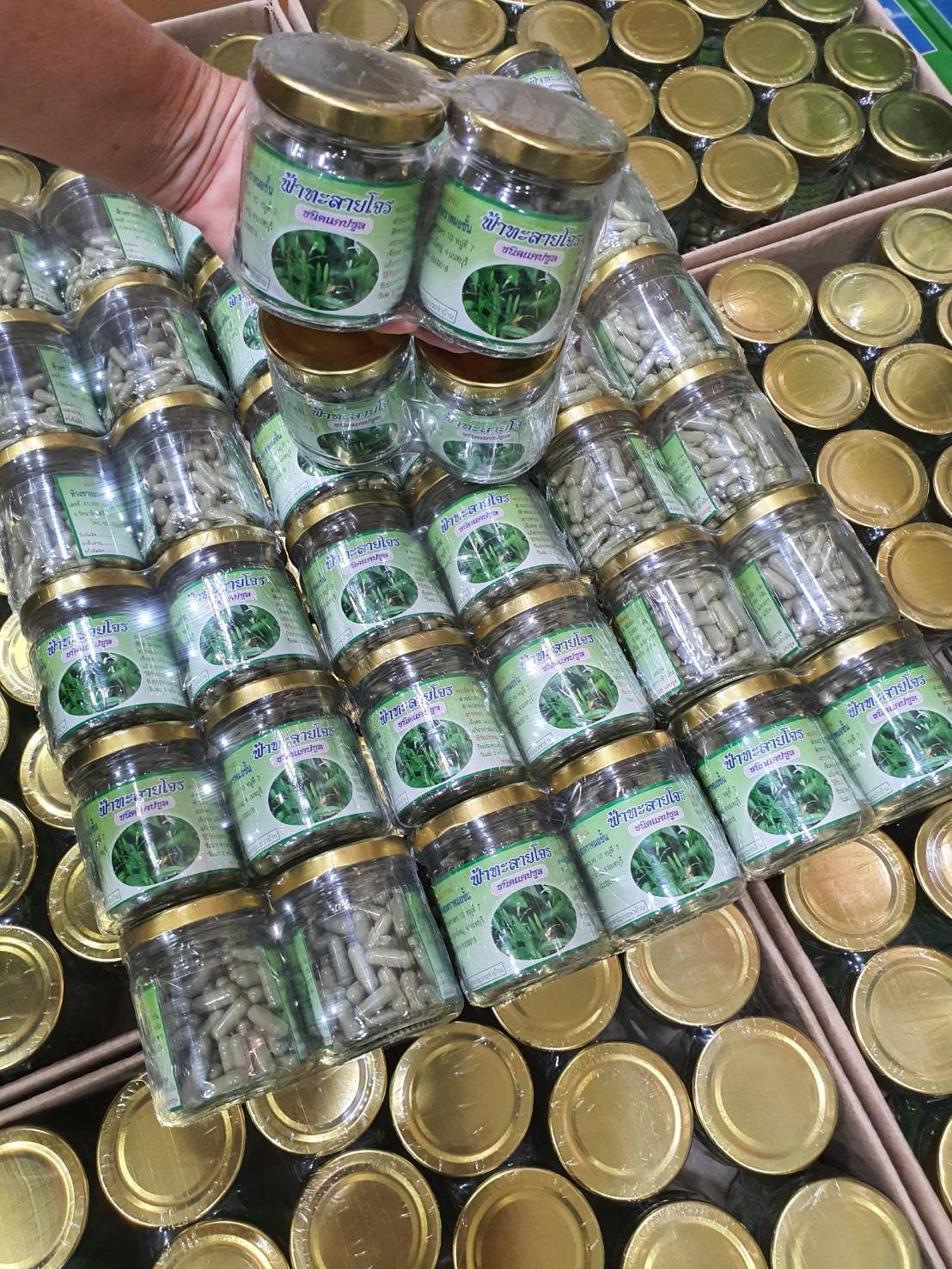 ฟ้าทะลายโจรเข้มข้นสูง 1000 กรัม ตราหมอชั้น100 แคปซูล