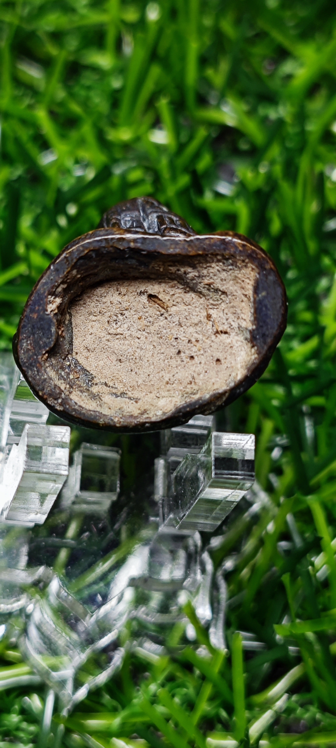 รูปหล่อแม่นางตะเคียนสินีนาถ วัดบางพูดนอก จ.นนทบุรี