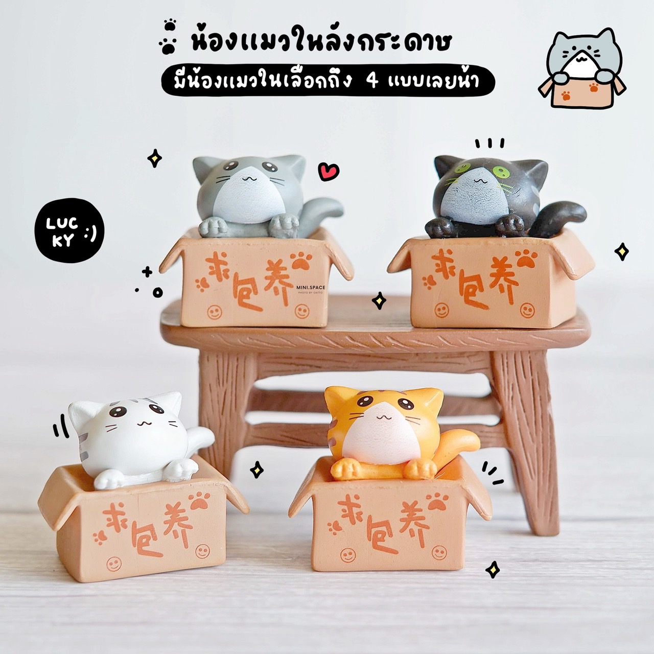 โมเดลแมว ชุดในกล่องกระดาษ (ชุด 4 แบบ) MS0290 ตุ๊กตาจิ๋ว โมเดลจิ๋ว ตุ๊กตาเรซิ่น แต่งสวน แต่งบ้าน งานDIY