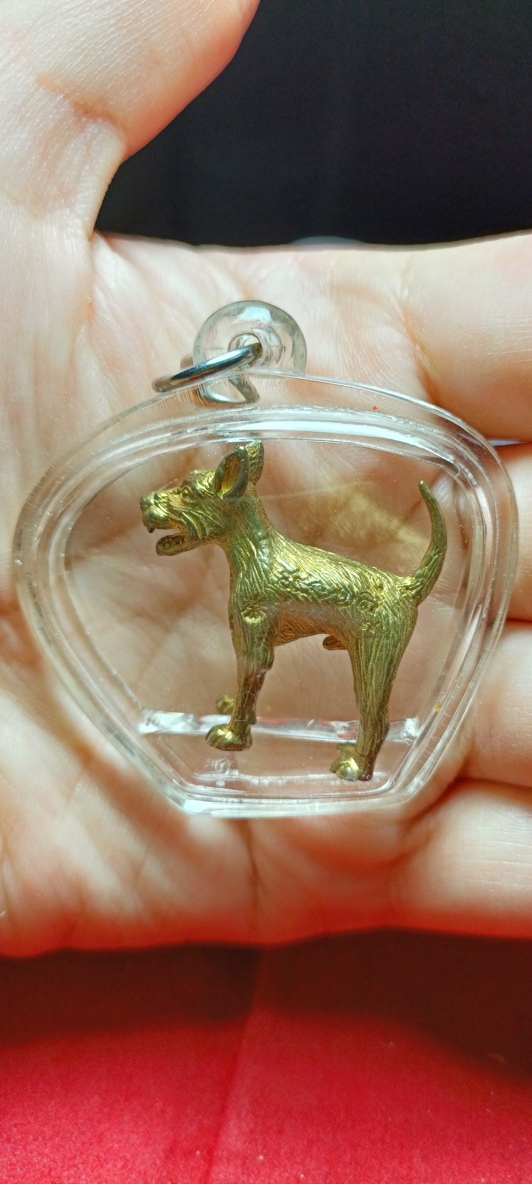 สุนัขเฝ้าทรัพย์เฝ้าเจ้าของ พระครูปืน วัดลาดชะโด " ชื่อเจ้าเขียว" เนื้อทองเหลือง รุ่นแรก