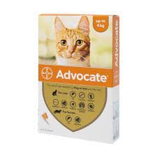 Advocate แอทโวเคท ยาหยดสำหรับแมวและลูกแมว น้ำหนักไม่เกิน 4 กก สีส้ม