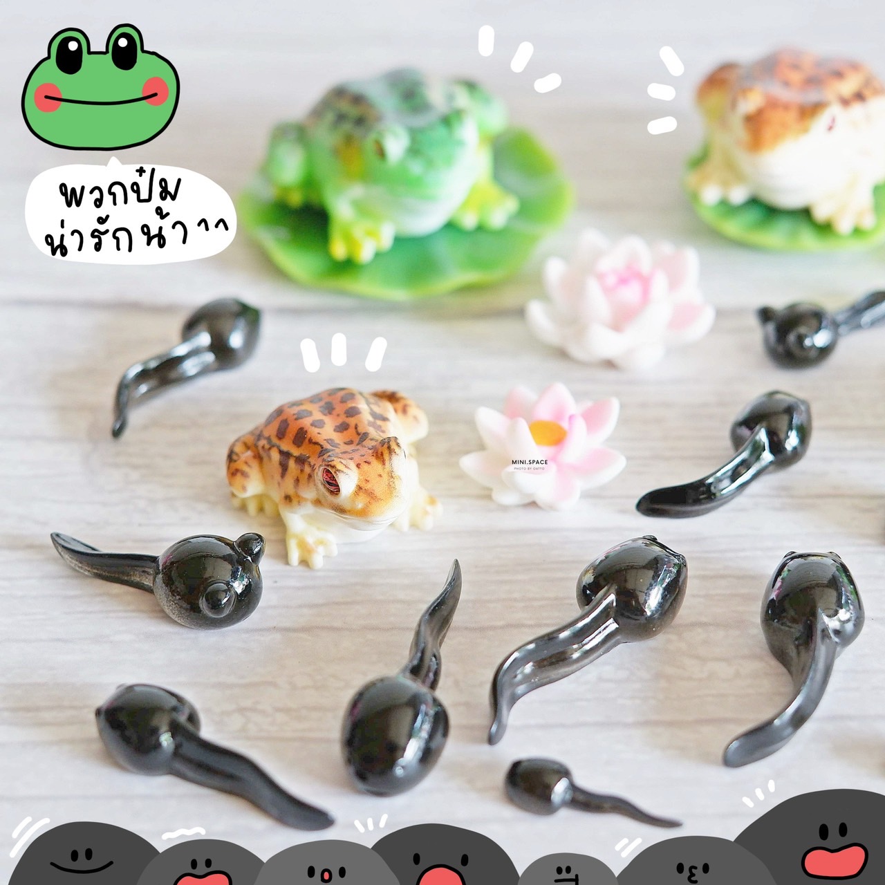 โมเดลเจ้ากบ และลูกอ๊อด MS5918 ตุ๊กตาจิ๋ว โมเดลจิ๋ว เรซิ่นตกแต่ง แต่งสวน งานDIY