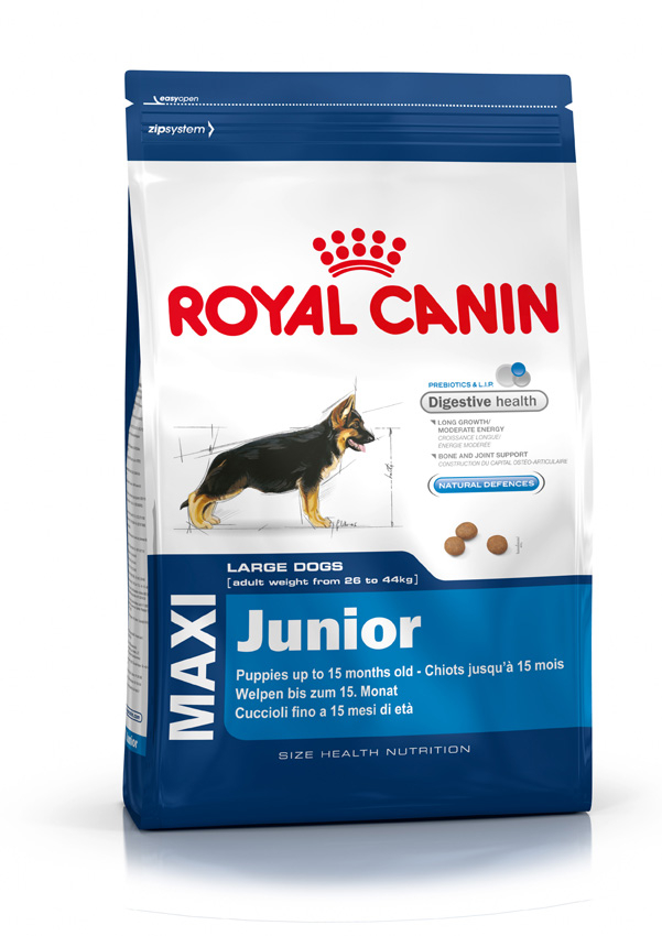 Royal Canin Maxi Junior 4 kg โรยัล คานิน แม็กซี่ จูเนียร์ อาหารเม็ดสำหรับลูกสุนัขพันธุ์ใหญ่ หลังหย่านม - อายุ 15 เดือน ขนาด 4 กก.