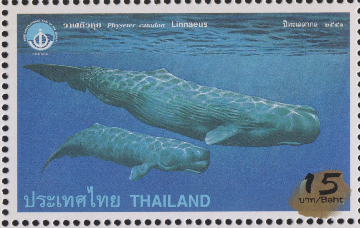 แสตมป์ปีทะเลสากล 2541 (พิมพ์ทับแก้ราคา 15 บาท)