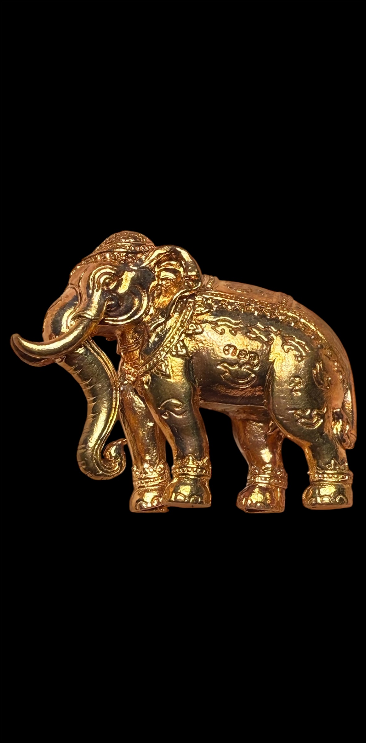 พญาช้างปัจจัยนาค รุ่น คชสารบันดาลทรัพย์ ปี58 หลวงพ่อรักษ์ วัดสุทธาวาส วิปัสนา จ.อยุธยา