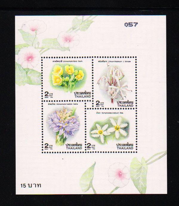 ชีทปีใหม่ 2540 (ชุด 9)