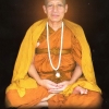 ประวัติพระอาจารย์ วรงคต วิริยะธโร ( หลวงตาม้า )