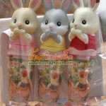 [Out of Stock] ปลอกดินสอกระต่ายซิลวาเนียน (JP) Sylvnainan Families Pencil Caps