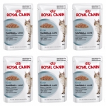 Royal canin hairball care pouch in gravy อาหารเปียกสูตรป้องกันการเกิดก้อนขน สำหรับแมวโต 85 กรัม x 6