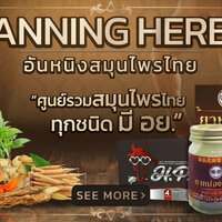 ร้านสวยจัง pharma泰国批发药品和化妆品