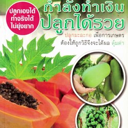 มะละกอ กำลังทำเงิน ปลูกได้รวย (ราคาพิเศษ)