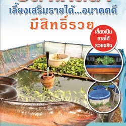 ปลาไหลนา เลี้ยงเสริมรายได้...อนาคตดีมีสิทธิ์รวย