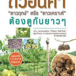 หนังสือถั่วอินคา "ดาวฤกษ์" หรือ "ดาวเคราะห์" ต้องดูกันยาวๆ