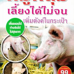 หมูหลุม เลี้ยงได้ไม่จน...เพิ่มตังค์ในเป๋า (ราคาพิเศษ)